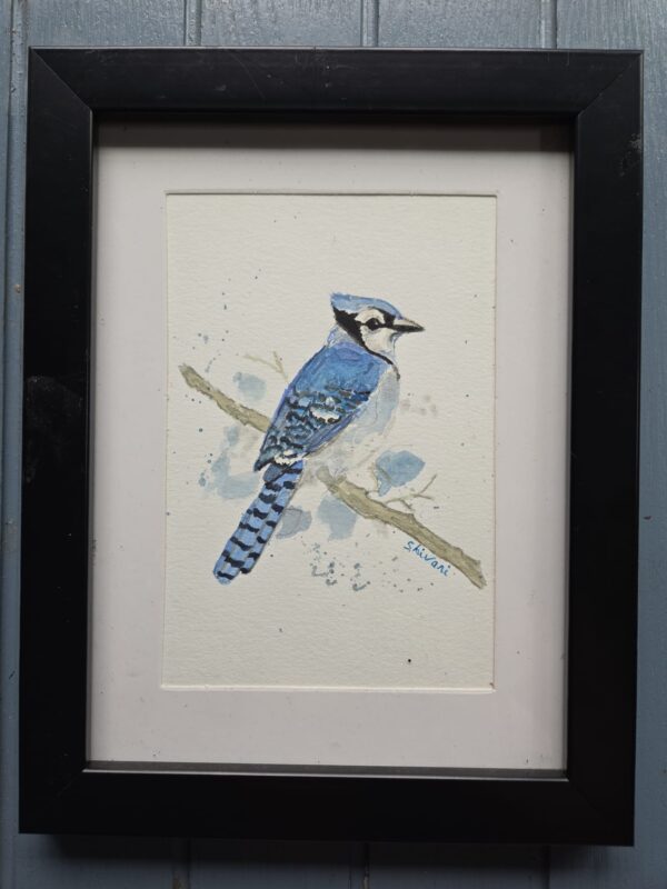 Blue bird - Image 2