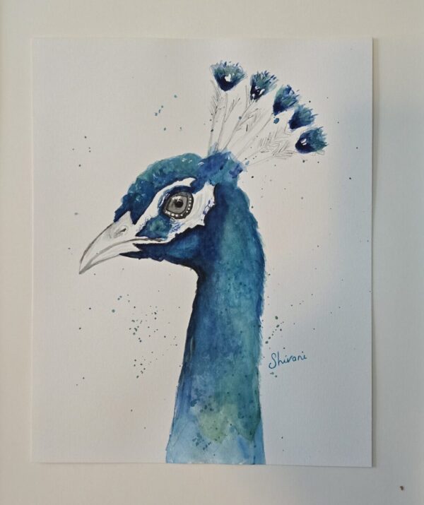 watercolor peacock