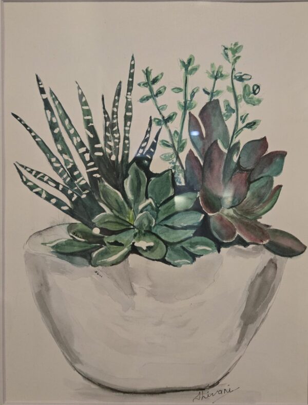 Green Succulents