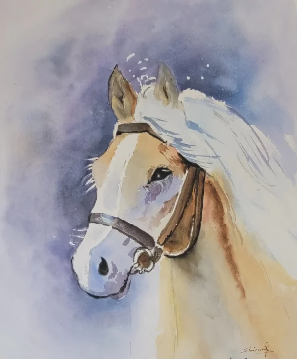 Horse Beauty